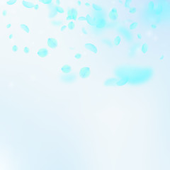 Turquoise flower petals falling down. Charming rom
