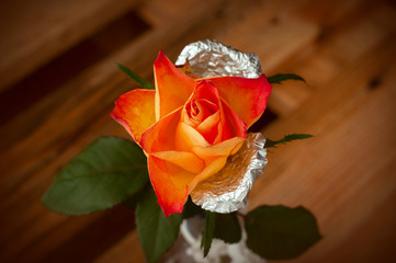 Hybrid orange rose in glass vase. One rose with metallic petals. Decorative heart on vase