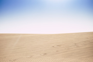 Fototapeta na wymiar desert dunes and blue sky landscape with no people - climate change and desertification concept with yellow sand and clear sky - beautiful beach and summer holiday vacation