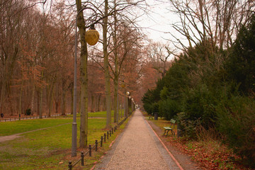 Walking path in Tiergarten park on overcast day in Berlin Germany