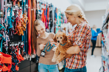 Mother and daughter with their poodle puppy in pet shop.
