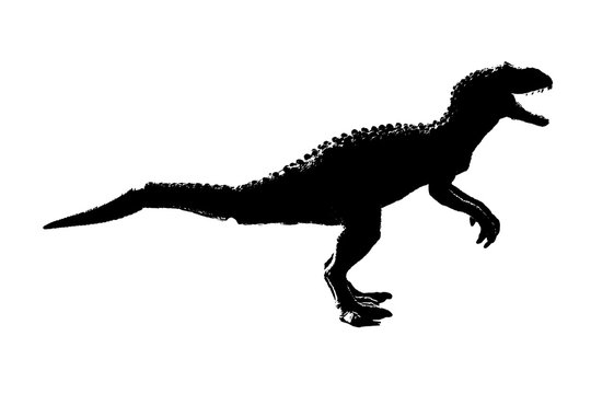 silhouette image black giganotosaurus dinosaur monster in cretaceous period on white background