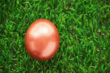 copper gold easter egg on lawn green grass