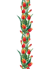 Seamless vertical garland of realistic red tulips. Elegant refined ceremonial and festive decoration. Watercolor hand painted isolated elements on white background.