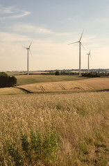 modern countryside before harvest