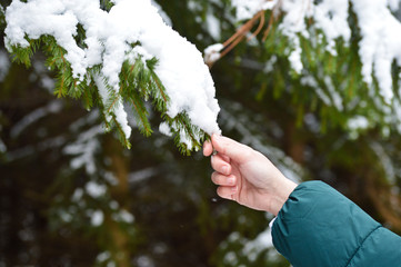 Woman in khaki jacket and her hands  touching the tree with snow on it during winter