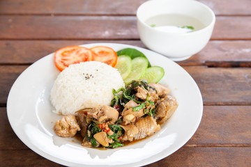 Rice topped with stir fried chicken and basil