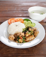 Rice topped with stir fried chicken and basil