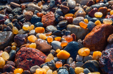 Small amber stone and pebbles on the sandy beach. Shallow wet amber washed by waves. Natural mineral at the Baltic sea coast.  Short focus.