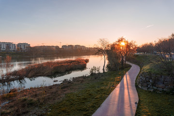 Sun at dawn hidden among the leaves of the Ebro riverbank..Sol al amanecer escondido entre las hojas de la ribera del rio Ebro.