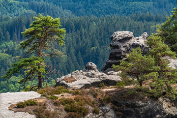 Pravcicka brana in Bohemian Switzerland. Prebischtor Gate mountain view. Narrow rock, largest natural sandstone arch in Europe. Hill scenery with greenery, blue sky and sunlight, natural environment.