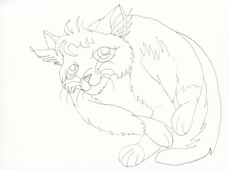 Lazy cat in modern style on white background. Cat illustration card.