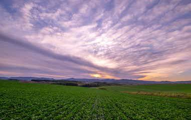 Scene of sunset Sky and Landscape of summer Biei-cho in Hokkaido, Japan.