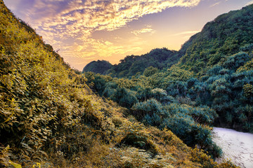 mountain landscape in the morning