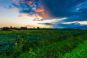 Sunset landscape somewhere in Italy
