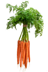 Bunch of new carrots isolated on white