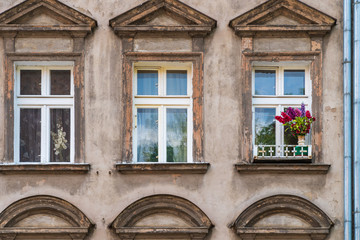 Weathered and stained house facade with rows of windows and one vibrant bunch of flowers on a...