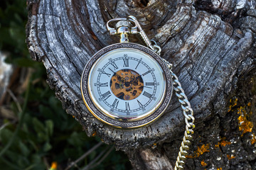 Vintage pocket watch on the stump of a log