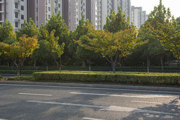 Reflection of urban asphalt road and street trees, high-rise residential buildings in the distance...