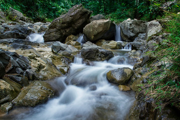 Naklejka na ściany i meble stream in the tropical forest