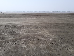 brown sand beach