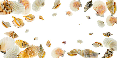 Tropical background. Trendy natural organic color Sea shell with starfish and shells in shape frame. Summer background. Top view with copy space.