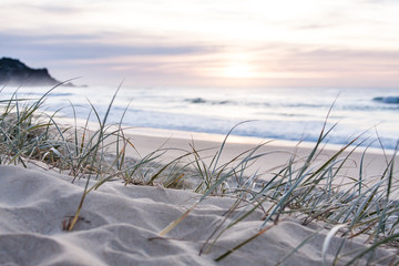 sunrise light on white sand beach with dune grass in Australia with turquoise surf waves of the...