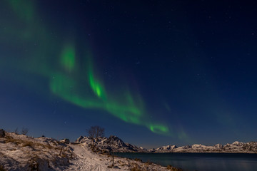 Fototapeta na wymiar Northern lights, Aurora borealis over the mountains in the North of Europe - Lofoten islands, Norway