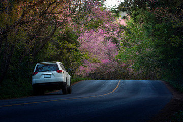 beautiful mountain road in doi angkhang chiangmai northern of thailand