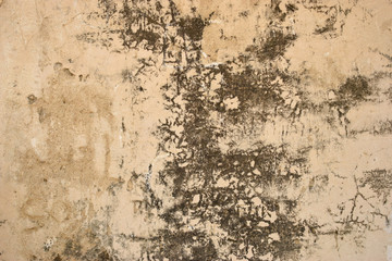 Rough Grunge Vintage light grey Peeled Cement Wall Background Distressed Weathered, Dirty Old Texture
