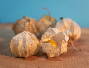 reife Physalis