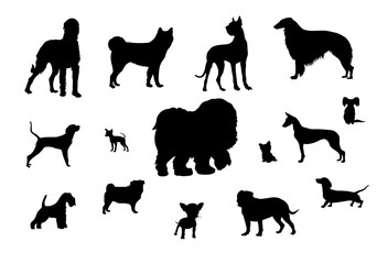 vector silhouettes of dogs of different breeds, silhouettes of pets, dogs, thoroughbred dogs, different angles