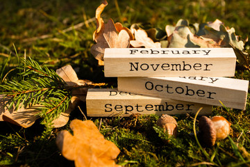 Decorative wooden calendar with date of Thanksgiving holiday, autumn decorations
