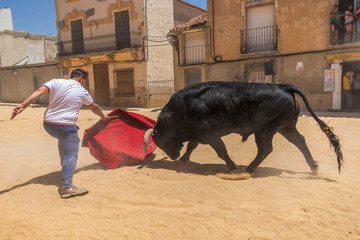 toro español en fiestas populares 