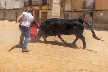 toro español en fiestas populares 