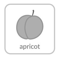 Apricot icon. Gray peach, outline flat sign, isolated white background. Symbol health nutrition, eco food fruit. Contour linear shape. Sweet nutritious organic dessert. Cartoon. Vector illustration