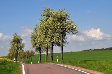 Wandern um Schmannewitz