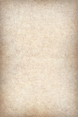 Antique Animal Skin Parchment Wizened Coarse Vignette Grunge Texture