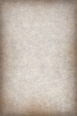 Antique Animal Skin Parchment Wizened Coarse Vignette Grunge Texture