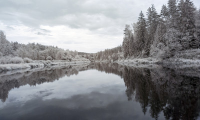 infrared photo: landscape with river, and amazing beautiful trees and glare