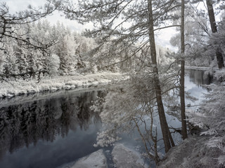 infrared photo: landscape with river, and amazing beautiful trees and glare
