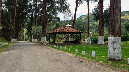 old house in the forest