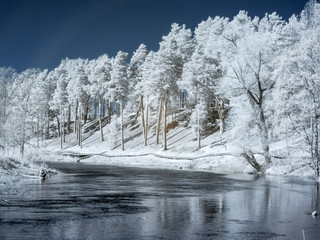infrared photo: landscape with river, and amazing beautiful trees and glare