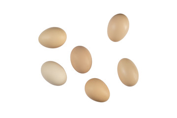 Isolated hen eggs on a white background. Easter egg.