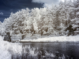 infrared photo: landscape with river, and amazing beautiful trees and glare