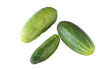 A green cucumber isolated on white background. Set of cucumbers.