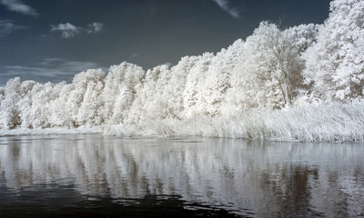 infrared photo: landscape with river, and amazing beautiful trees and glare