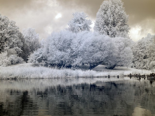 infrared photo: landscape with river, and amazing beautiful trees and glare