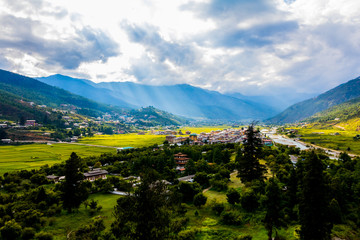 Rays in Bhutan