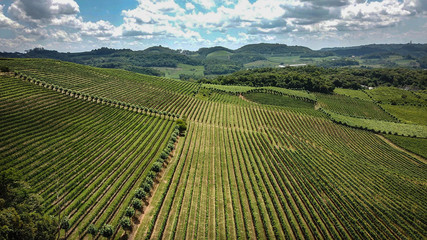 Fototapeta na wymiar Aerial view of the valley of the vineyards in Bento Gonçalves, in the Serra Gaúcha, Brazil